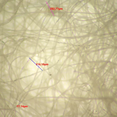 fotografie Digitální stereomikroskop MAGUS Stereo D9T LCD,  26