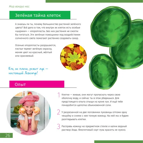 obrázek Mikroskop Levenhuk Discovery Nano,  7