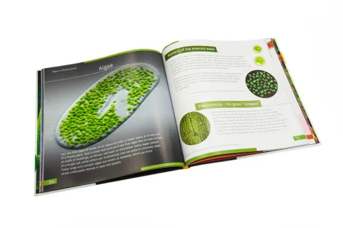 fotografie Neviditelný svět. Vzdělávací publikace. Pevná vazba,  9