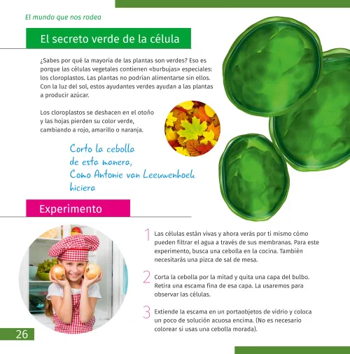 fotografie Mikroskop se vzdělávací publikací Levenhuk Discovery Micro,  7