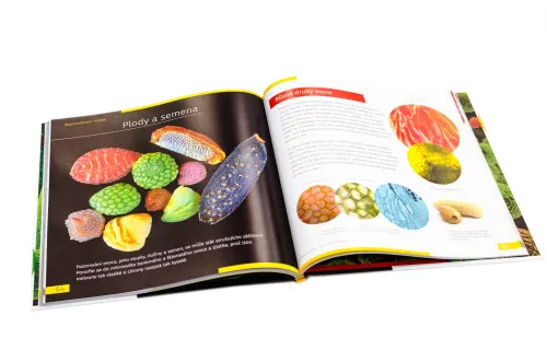 fotografie Neviditelný svět. Vzdělávací publikace. Pevná vazba,  10