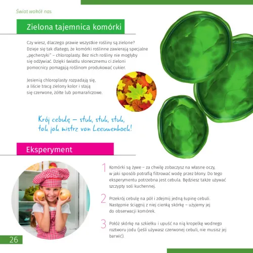 fotografie Mikroskop se vzdělávací publikací Levenhuk Discovery Micro,  7