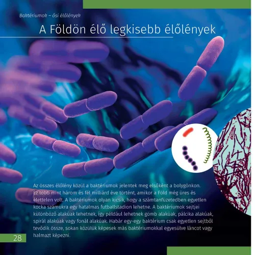 fotografie Neviditelný svět. Vzdělávací publikace,  5