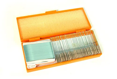 snímek Sada preparátů připravených k pozorování mikroskopem Levenhuk N38 NG,  2