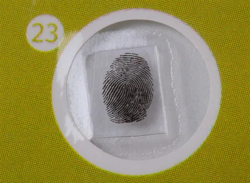 foto Sada hotových rostlinných preparátů Levenhuk LabZZ P12,  7