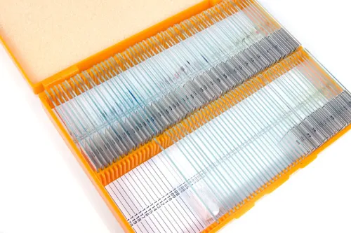 foto Sada preparátů a sklíček Levenhuk N80 NG "Uvidět vše",  3