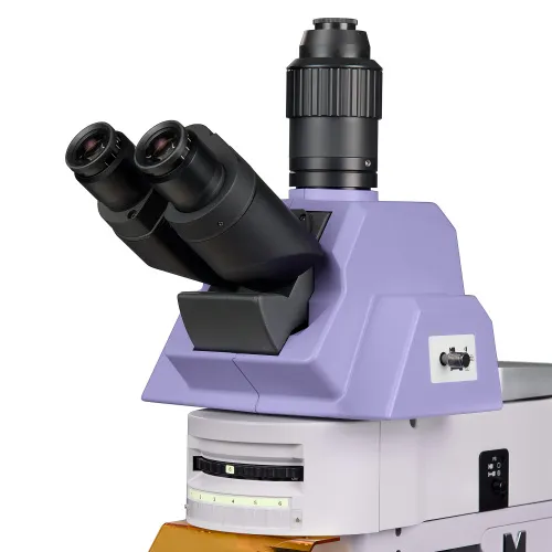 fotografie Fluorescenční mikroskop MAGUS Lum 490L,  10