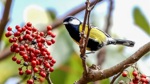 snímek Fototeleskop Levenhuk Kelvin MAK127 AZ GOTO Wi-Fi,  13