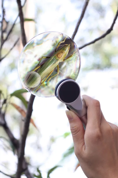 fotografie Lupa Levenhuk Zeno 400 s LED osvětlením, 2/4x, 88/21 mm, kov,  9