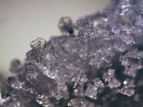 foto Stereomikroskop Bresser Erudit ICD,  11