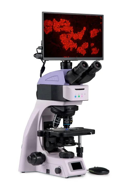 obrázek Fluorescenční digitální mikroskop MAGUS Lum D460L LCD,  3