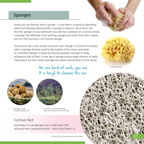 fotografie Neviditelný svět. Vzdělávací publikace. Pevná vazba,  7