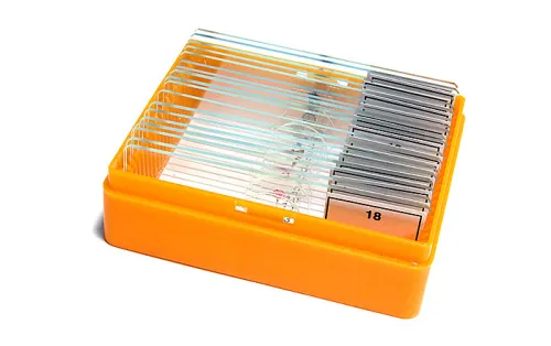 fotografie Sada preparátů připravených k pozorování mikroskopem Levenhuk N18 NG,  5