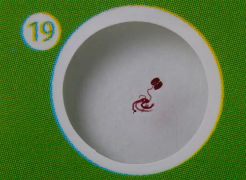 foto Sada hotových rostlinných preparátů Levenhuk LabZZ P12,  6