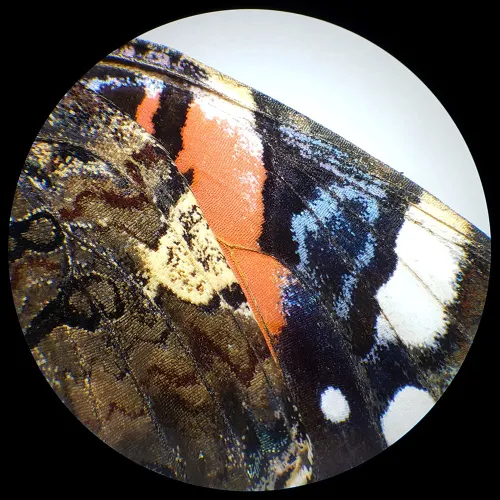 obrázek Stereomikroskop Bresser Analyth STR 10x - 40x,  6