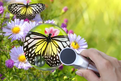 fotografie Lupa Levenhuk Zeno 400 s LED osvětlením, 2/4x, 88/21 mm, kov,  7