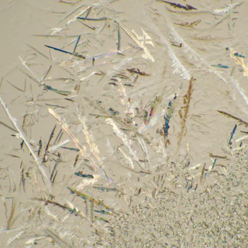 foto Biologický digitální mikroskop MAGUS Bio D230T LCD,  29