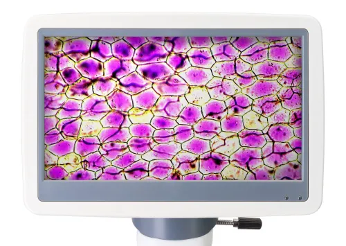 foto Digitální mikroskop Levenhuk D85L LCD - Vystavený předmět,  6
