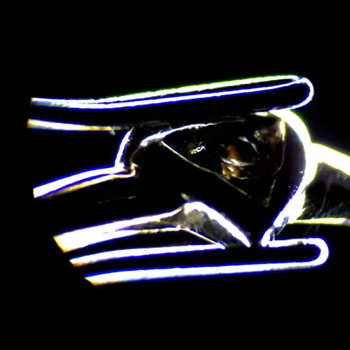 foto Digitální stereomikroskop MAGUS Stereo D7T LCD PLUS,  25