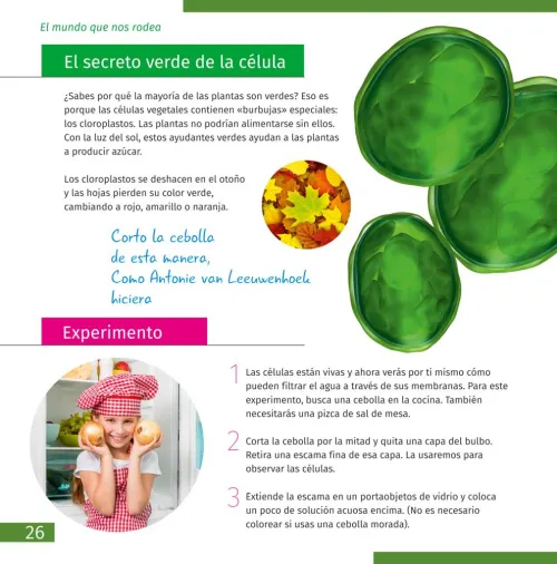 fotografie Mikroskop se vzdělávací publikací Levenhuk Discovery Micro,  7