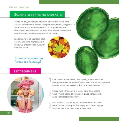 fotografie Mikroskop se vzdělávací publikací Levenhuk Discovery Micro,  7
