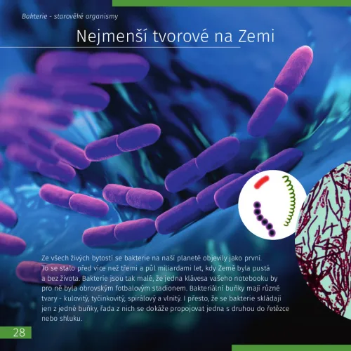 fotografie Neviditelný svět. Vzdělávací publikace,  5