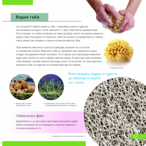 snímek Vesmír. Mikrosvět. Vzdělávací publikace, 2 svazky,  8