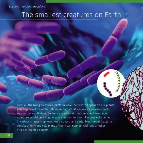 fotografie Neviditelný svět. Vzdělávací publikace. Pevná vazba,  5