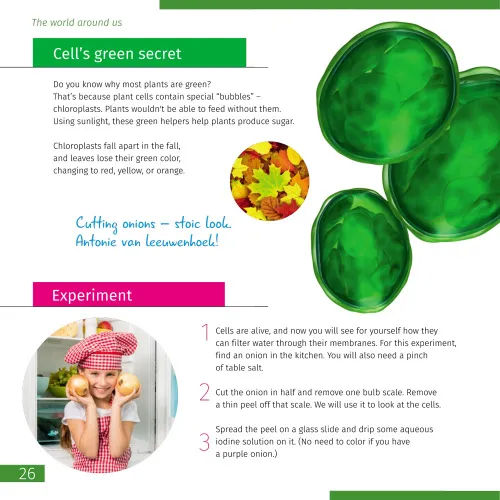 fotografie Neviditelný svět. Vzdělávací publikace. Pevná vazba,  4