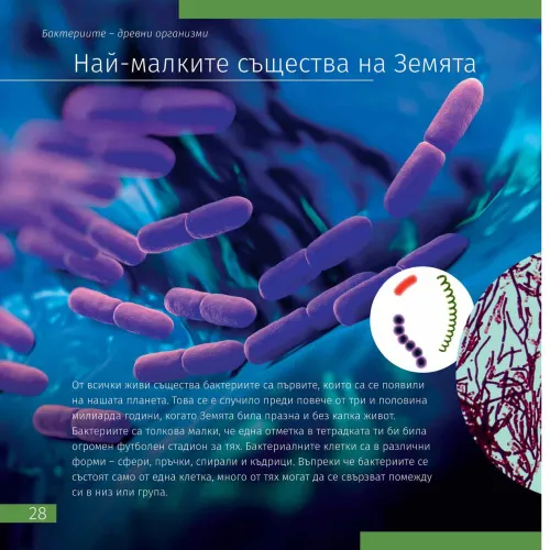 snímek Vesmír. Mikrosvět. Vzdělávací publikace, 2 svazky,  10