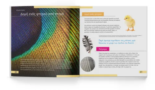 fotografie Neviditelný svět. Vzdělávací publikace,  4