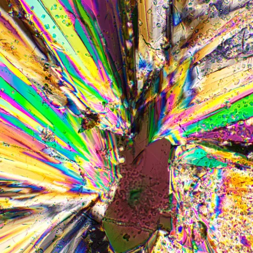 foto Sada polarizátoru a analyzátoru MAGUS SPD3,  4