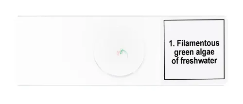 foto Sada mikropreparátů Levenhuk Discovery Prof DPS 5. „Biologie“,  7
