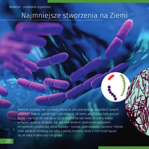 fotografie Neviditelný svět. Vzdělávací publikace,  5