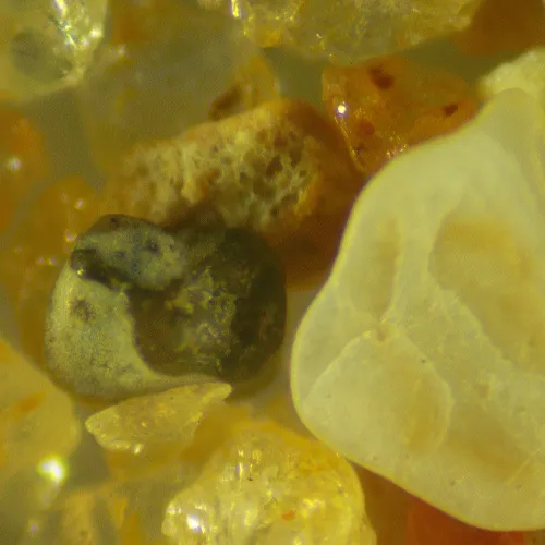 fotografie Digitální stereomikroskop MAGUS Stereo D9T LCD,  27