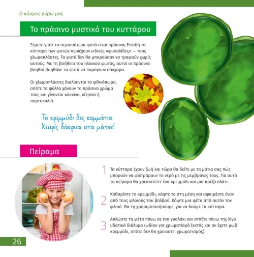 fotografie Mikroskop se vzdělávací publikací Levenhuk Discovery Micro,  7