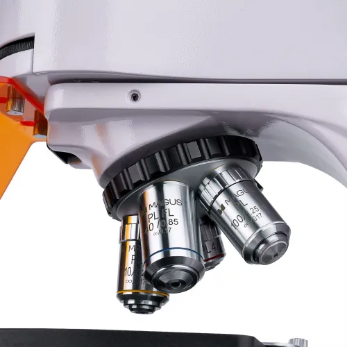 snímek Fluorescenční digitální mikroskop MAGUS Lum D400 LCD,  13