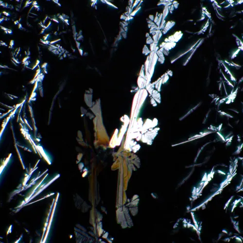 foto Sada polarizátoru a analyzátoru MAGUS SPD1,  7