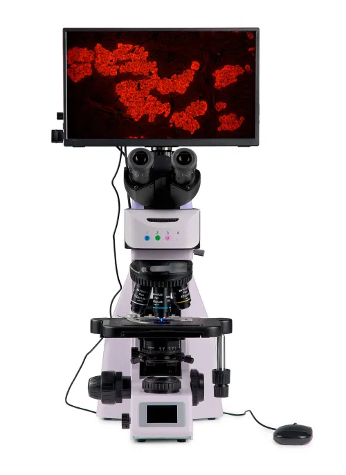 obrázek Fluorescenční digitální mikroskop MAGUS Lum D460L LCD,  9