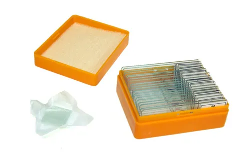 obrázek Sada preparátů připravených k pozorování mikroskopem Levenhuk N20 NG,  3