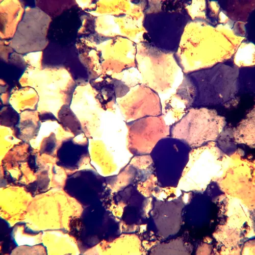 fotografie Polarizační digitální mikroskop MAGUS Pol D800,  22