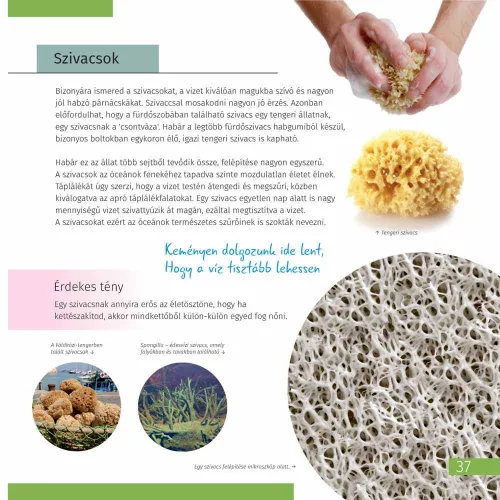 fotografie Neviditelný svět. Vzdělávací publikace,  3