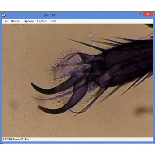 snímek Mikroskop Omegon MonoView, MicroStar, achromat, 1280x, LED,  4