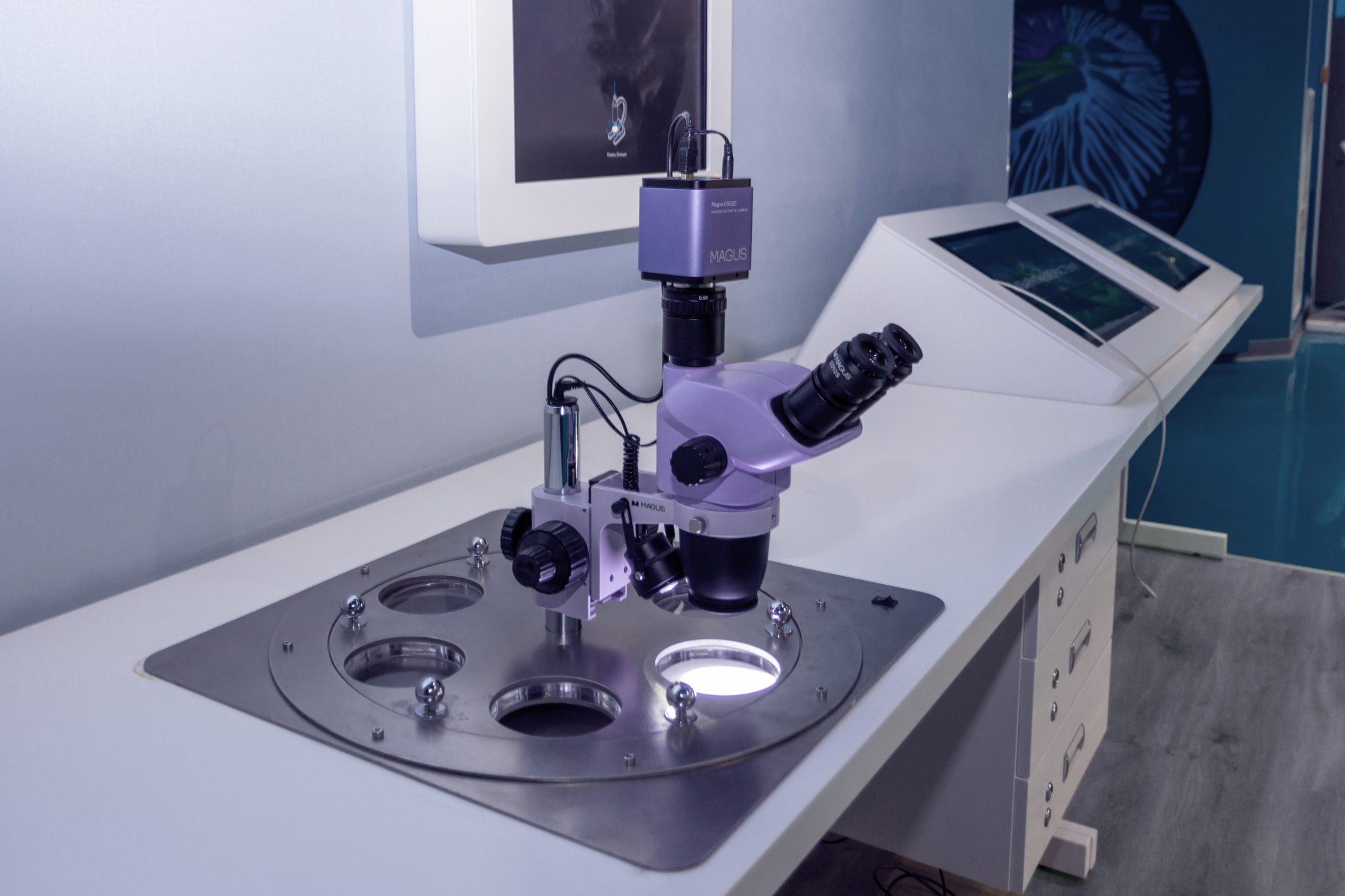 museum_world_ocean_02.jpg museum_world_ocean_02.jpg