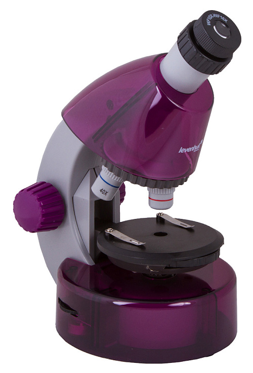 snímek Mikroskop Levenhuk LabZZ M101 Amethyst\Ametyst - Vystavený předmět